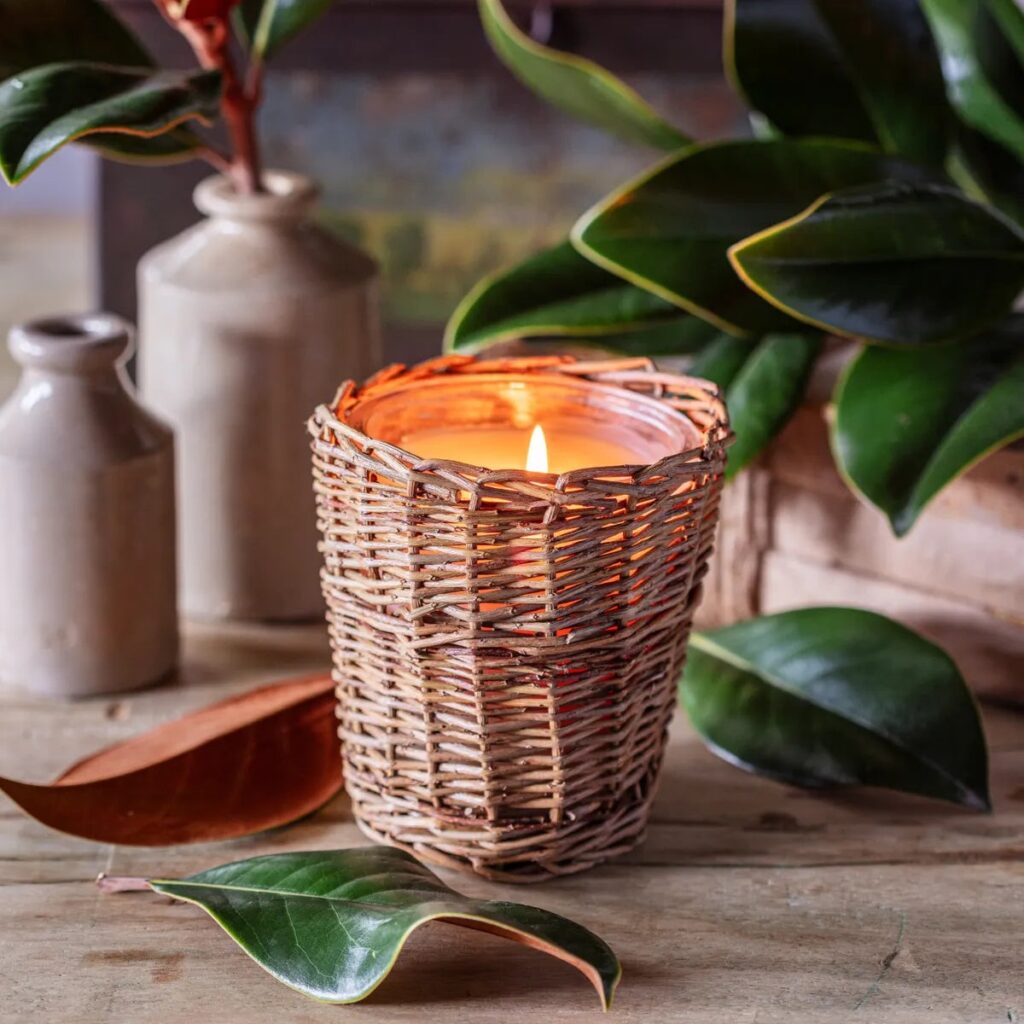 novo designe vela 2026