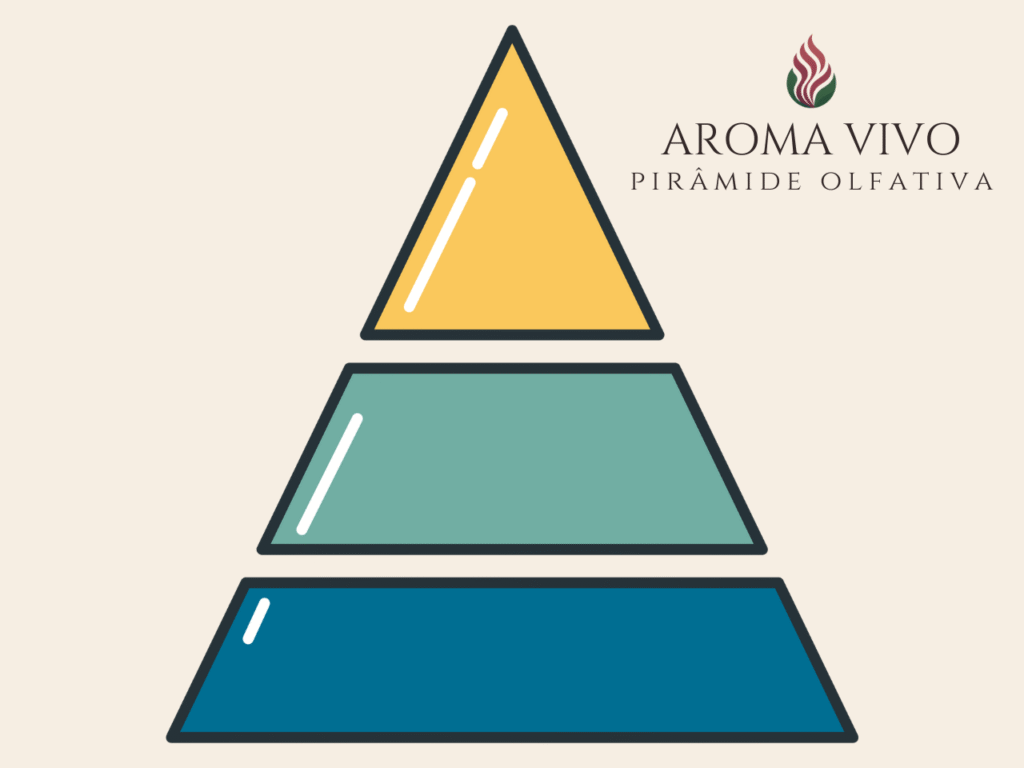 Pirâmide olfativa com famílias aromáticas e brasilidades – Aroma Vivo Home